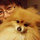 Chen Zhao