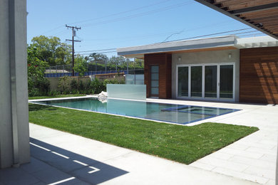 Modern back rectangular swimming pool in Los Angeles with with pool landscaping.