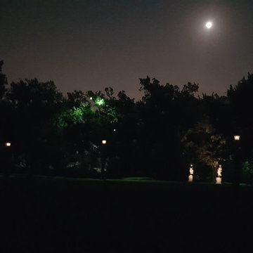 Preston Hollow Gas Lamps