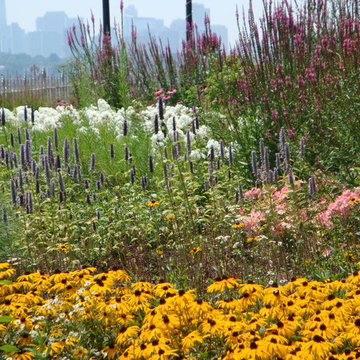 Hamilton Park, Weehawken, NJ