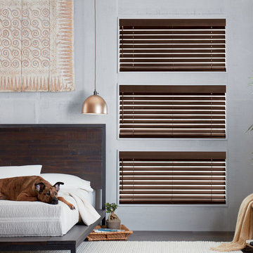 Pet-Safe Solutions