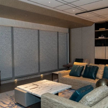 window treatment for living room, cellular blinds, shangri-la blinds, zebra blin