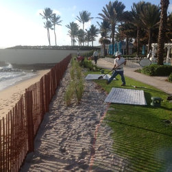 Beach Sand Fence - Products