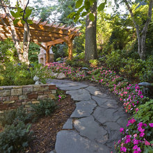 Landscape Ideas