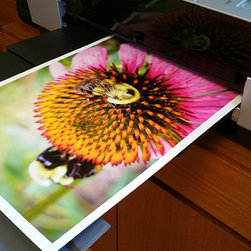 Photo Printing - Photographs