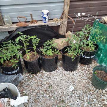 Small raised enclosed garden and patio area