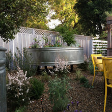 Yard ideas