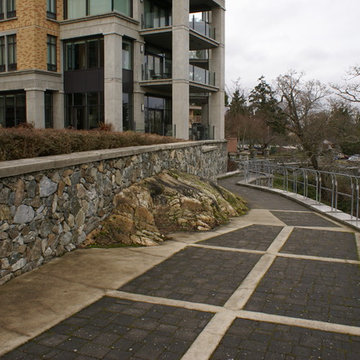Swallow's Landing