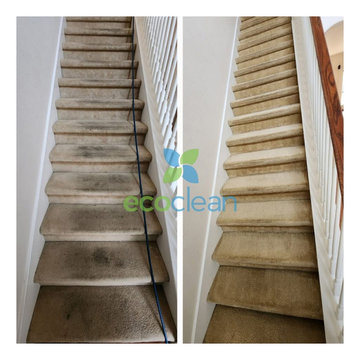Carpet Cleaning