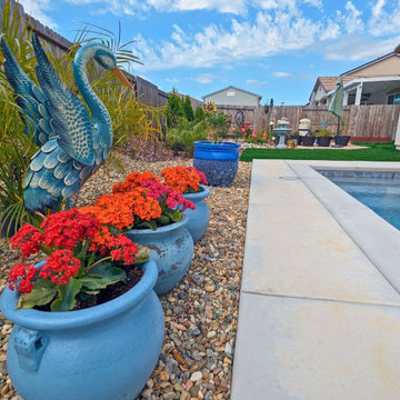 Small Backyard Swimming Pool