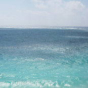antigua2015's photo