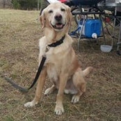 Angela Brown's photo
