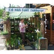 Anikó Kristófs foto