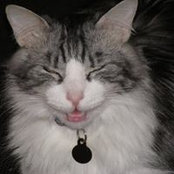 Diane Deignan-Arnold's photo