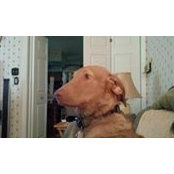 Jack Krynack's photo