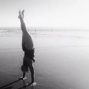 Lisa Tornello's photo