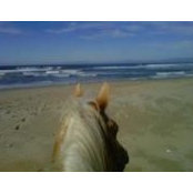 Foto de Sherry EverythingSasc
