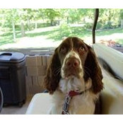 Tom Gregory's photo