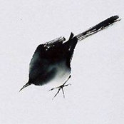 Jul Kolesova's photo