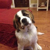 Nadine Scalzo's photo