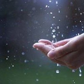 Huyen Dang's photo