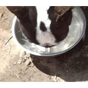 Janice Medin's photo