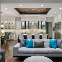 living room ceiling