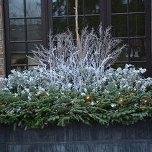 Window Boxes