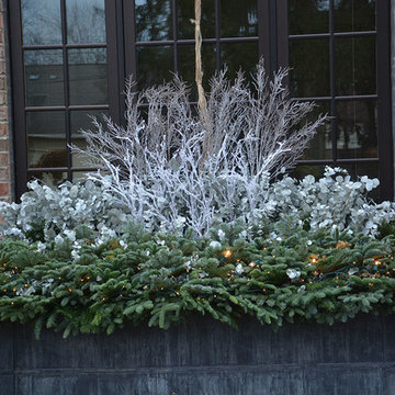 Winter Windowboxes