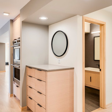 Minimalist Modern Kitchen