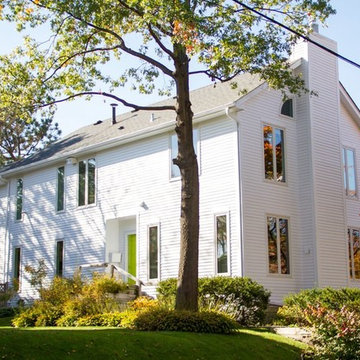 Lake of the Isles "Modern Minimalist Exterior"
