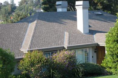 Home with Gutter Helmet