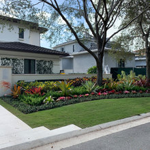 Lawns and grass