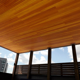 シカゴの大きいコンテンポラリースタイルのおしゃれな屋上のデッキ (ファイヤーピット、パーゴラ) の写真