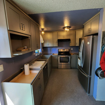 Major Kitchen Transformation
