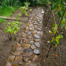 Patio Ideas