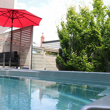 Danforth Modern Backyard Swim Spa