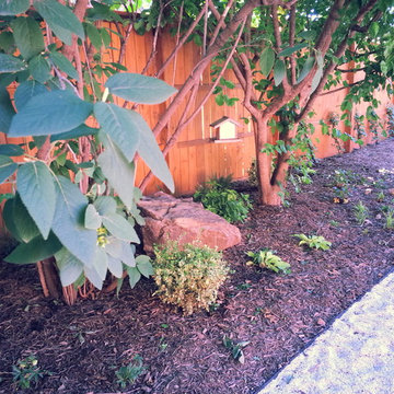 Backyard Overhaul