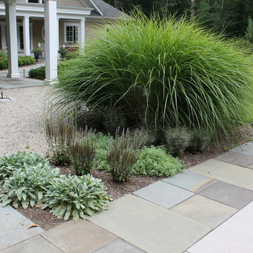 Garden Vignettes