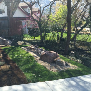 Olympus Cove: Black Mulch