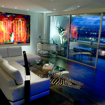 Urban Home Automation Project, Artistic Design & Entertainment
