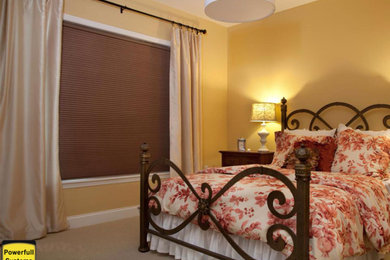 Lutron Honeycomb Blackout Shade
