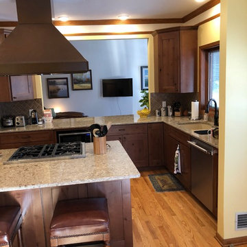 Kitchen Update Done in a Knotty Alder Mission Style Door