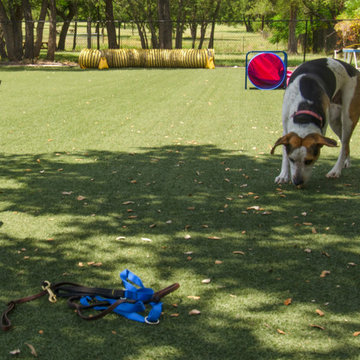 Austin Dog Alliance