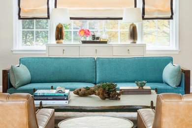 Transitional living room photo in Baltimore