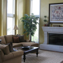 Living Room Rugs