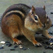 Tracy Price-Scott's photo
