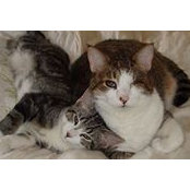 Kelly Bates-Rogers's photo