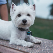 Rachel P's photo