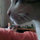 david_wu55